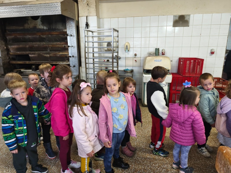  Leptirići i Bumblebees u posjetu pekari - slika broj: 7